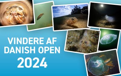Vindere af Danish Open 2024